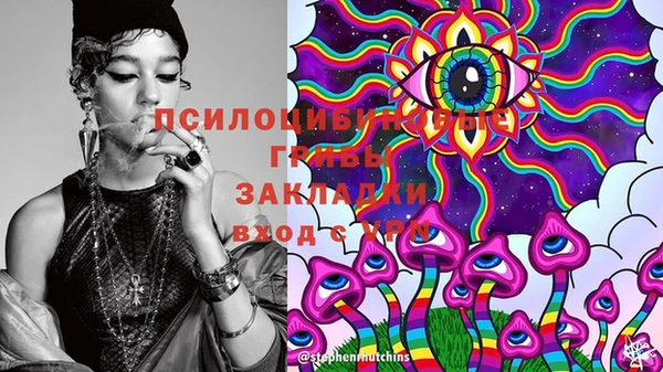 метадон Ладушкин