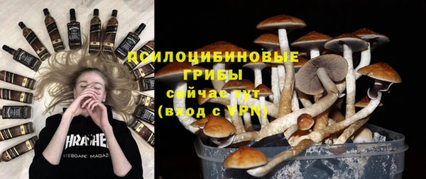метадон Ладушкин